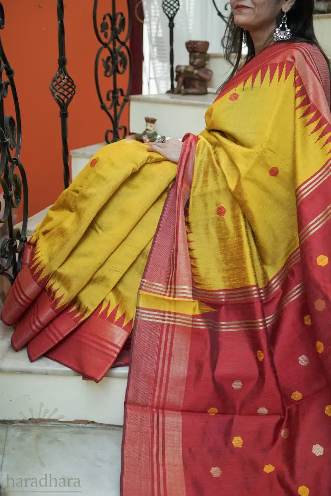 Dotted in Crimson Raw Silk Sarees