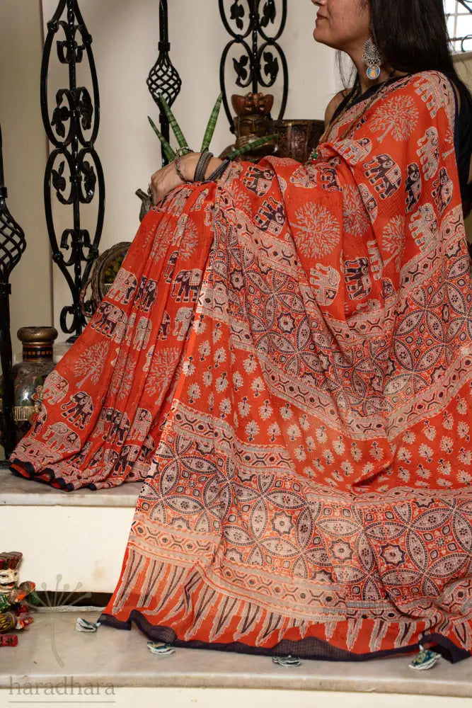 Echoes of Nature Kota Sarees