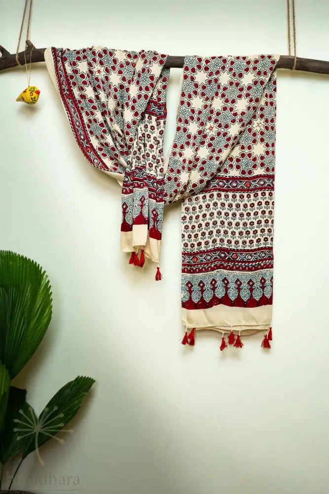 Geometry Of Grace Ajrakh Dupattas